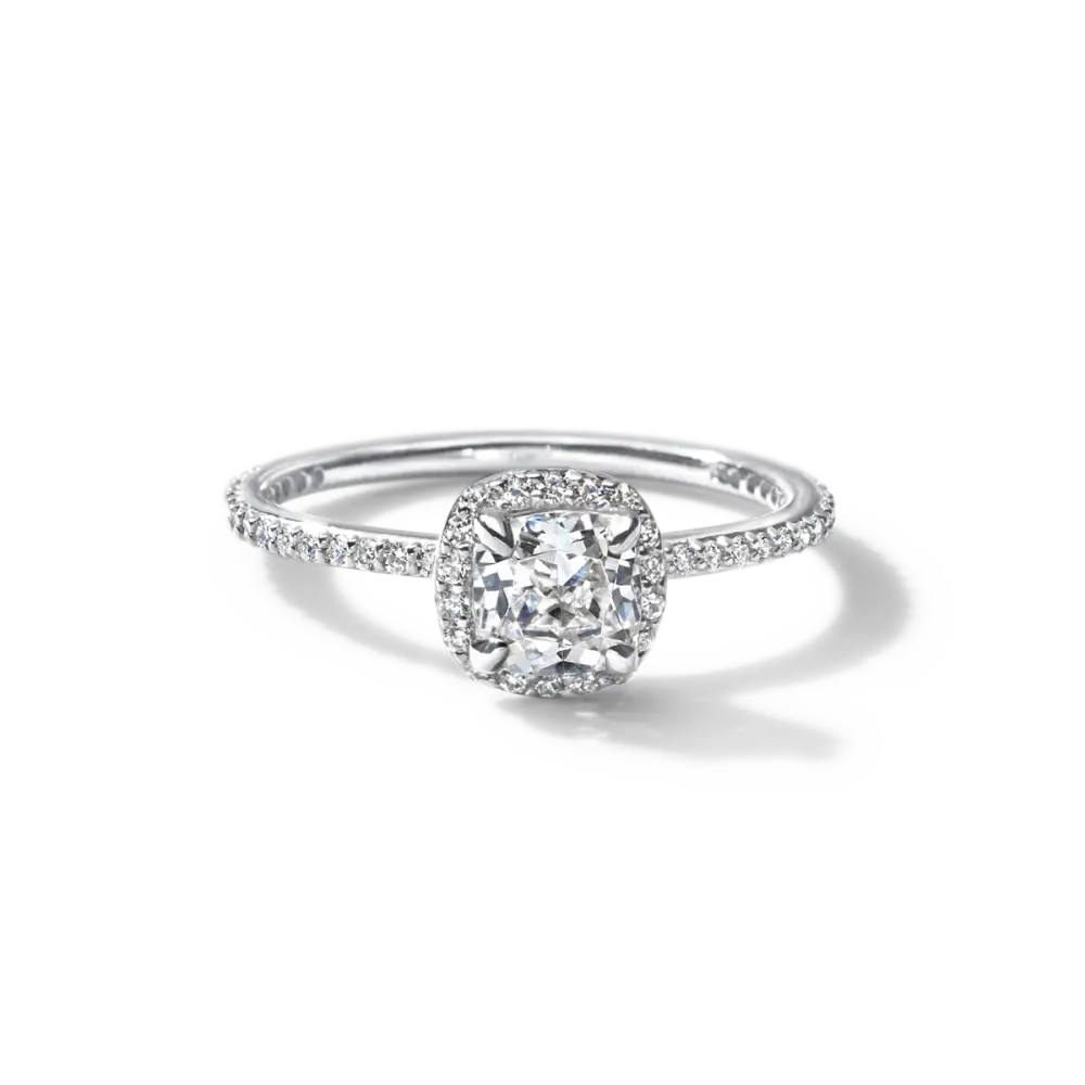 EMMELINE - NATURAL HALO PAVE - 18K White Gold / Cushion - Engagement Ring
